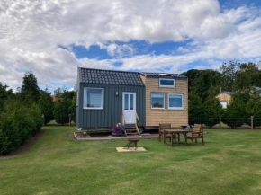 The Cedar Tiny House